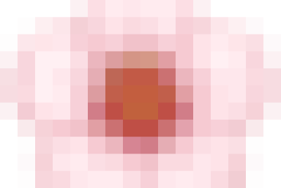 Trường Tiểu học Liêm Tiết long trọng tổ chức lễ kỉ niệm 43 năm Ngày Nhà giáo Việt Nam (20/11/1982- 20/11/2025)