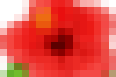 ✨ HỘI THẢO SINH HOẠT CHUYÊN MÔN THEO NGHIÊN CỨU BÀI HỌC ✨